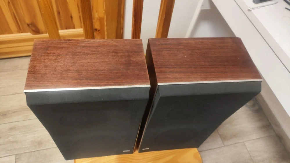 Bang & Olufsen Beovox S30