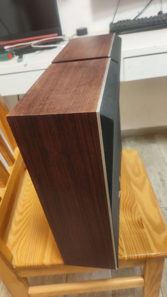 Bang & Olufsen Beovox S30